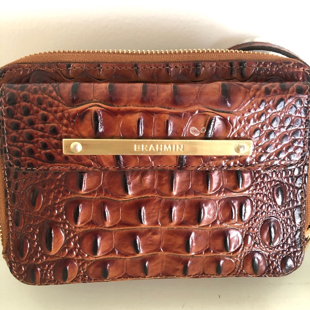 Small Brahmin purse